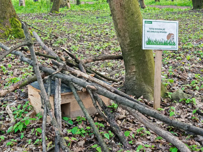 Wooden hedgehog house partly sheltered by branches and leaves in a park